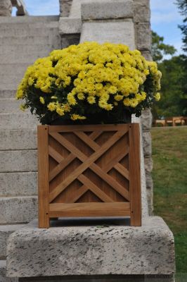 Teak Planter Chippendale 15 inch sq.