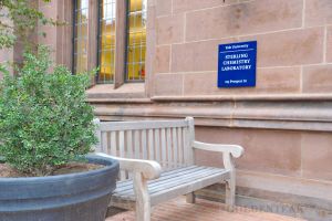 Goldenteak Teak Hyde Park Bench at Yale University - Customer Photo