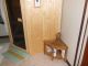 Teak Corner Table or Shower Stool - customer photo